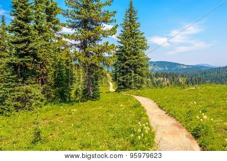 Beautiful Mountain Trail. Blackwall Peak Trail at Manning Park in British Columbia. Canada.
