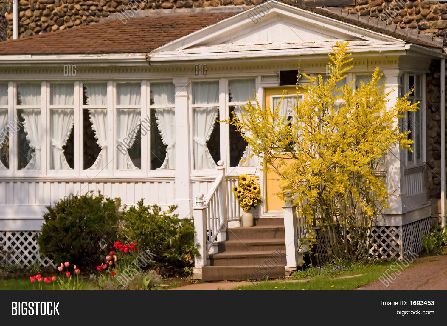 Forsythia House Image & Photo Bigstock