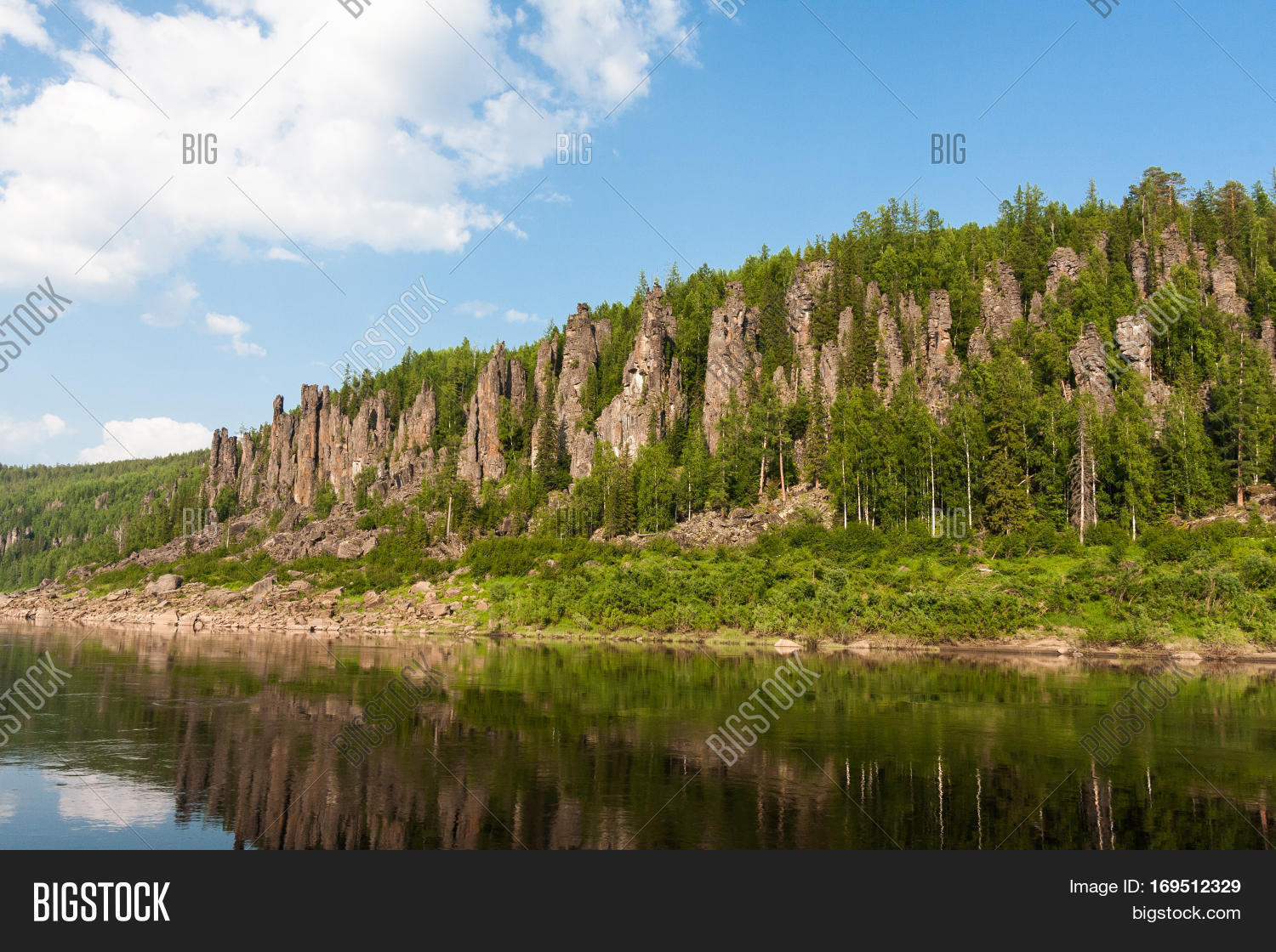 Beautiful Siberian Image Photo Free Trial Bigstock
