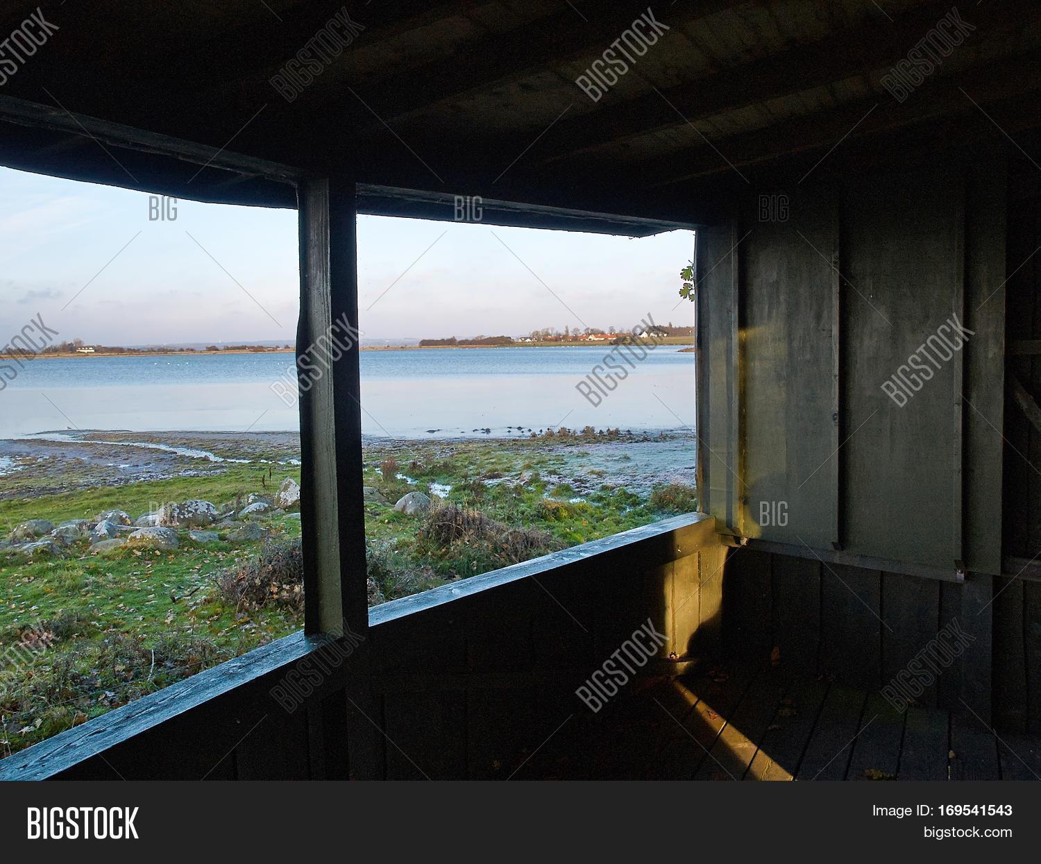 Inside Birding Behavior at Lloyd Gonzalez blog