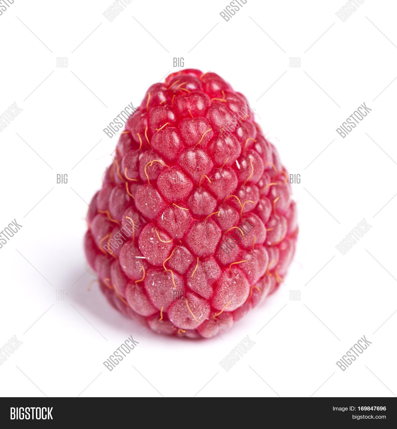 Single Raspberry Image & Photo (Free Trial) | Bigstock