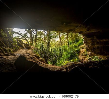 entrance to waipu caves, new zealand