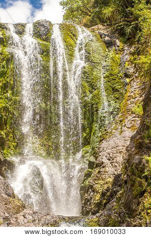 beautiful water fall in forest, new zealand, waipu, piroa falls
