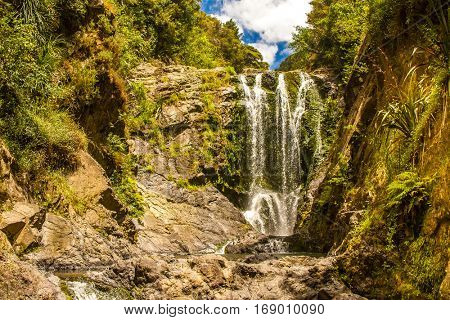 beautiful water fall in forest, new zealand, waipu, piroa falls