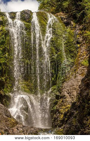 beautiful water fall in forest, new zealand, waipu, piroa falls