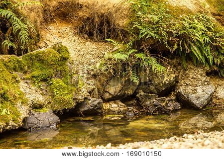 beautiful water fall in forest, new zealand, waipu, piroa falls