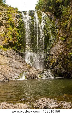 beautiful water fall in forest, new zealand, waipu, piroa falls