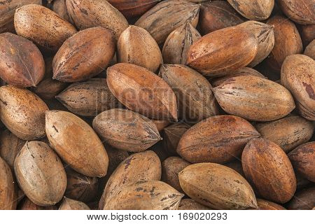 Natural Stack Of Peacan Nuts Patterns And Textures