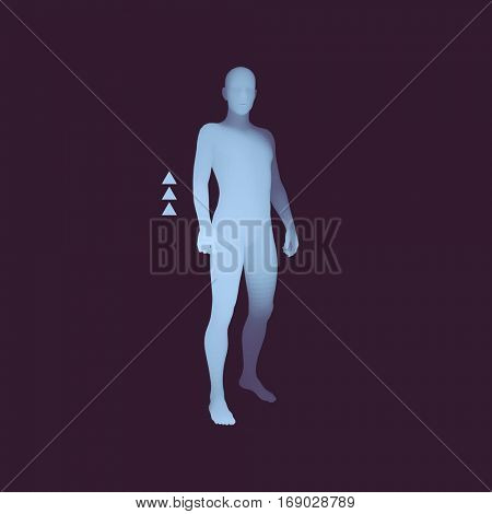 Standing Man. 3D Human Body Model. Design Element. Man Stands on his Feet. Vector Illustration. 
