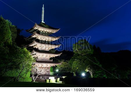 Rurikoji Temple Pagoda in Japan at night