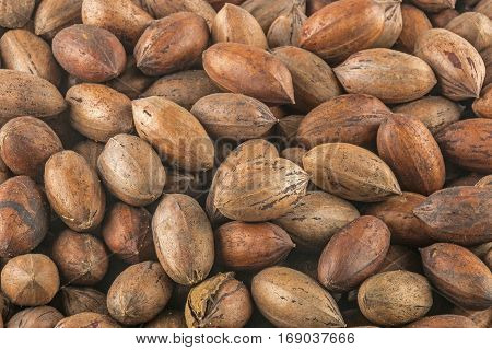 Close up above view of natural stack of peacan nuts patterns and textures