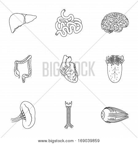 Human organs set icons in outline design. Big collection of human organs vector symbol stock illustration