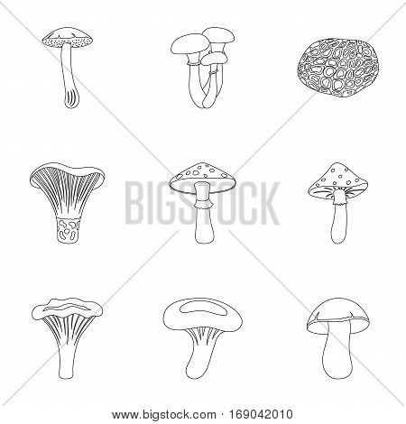 Mushroom set icons in outline style. Big collection of mushroom vector symbol stock