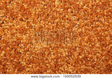Shot Of A Carpeting Texture Background
