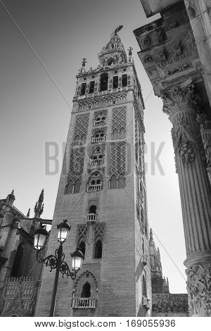 Sevilla (Andalucia Spain): courtyard of historic palace near the cathedral. Black and white