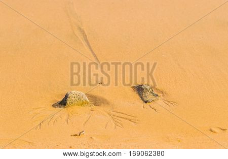 Two rocks buried in sand with traces of water runoff in the sand