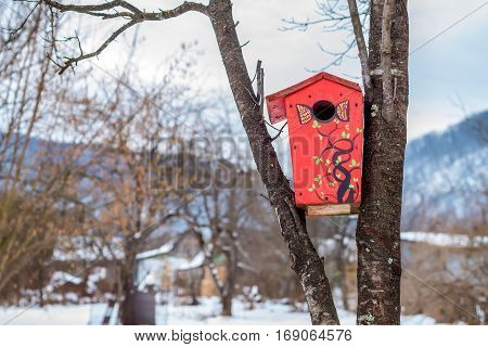 Red painted handmade nest box hanging on tree