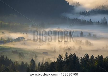 Foggy morning mist over alpine valley, Julian Alps, Slovenia