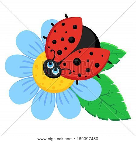 Vector illustration of  ladybird sits on blue flower