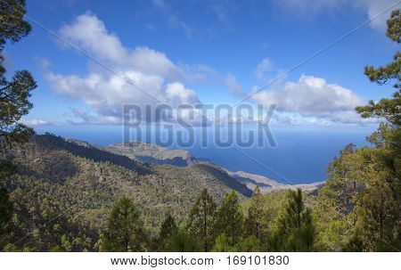 Central Gran Canaria In January