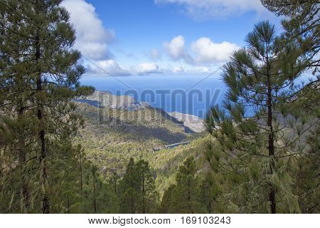 Central Gran Canaria In January