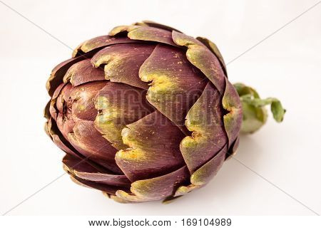Artichoke typical Roman vegetable Italy in the studio on a white background.