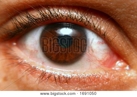 menschliche Auge