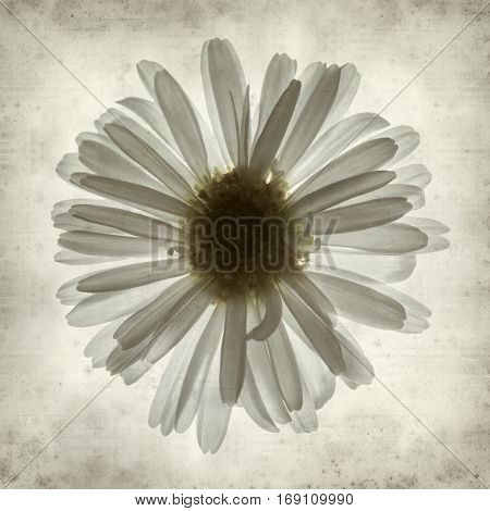 Textured Old Paper Background