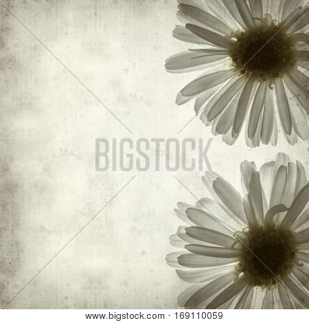 Textured Old Paper Background
