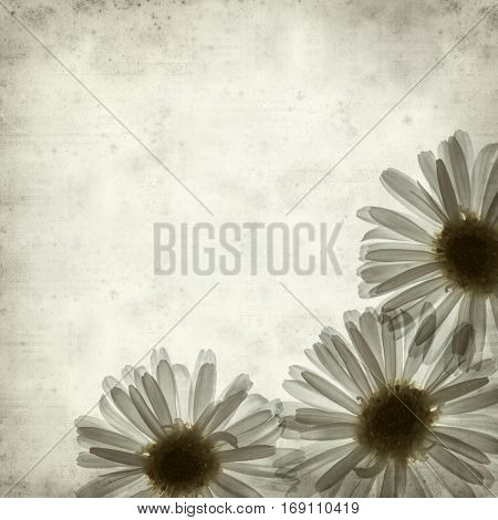 Textured Old Paper Background