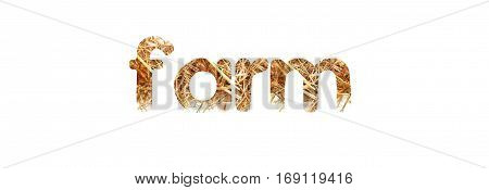 isolated Straw Dry hay . Mock up.