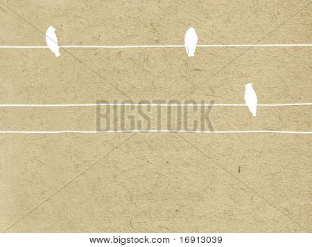 texture of the old paper