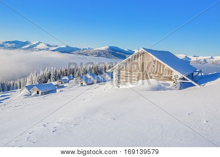 The lane is leading to the old wooden hut covered by snow and the forest behind it.
