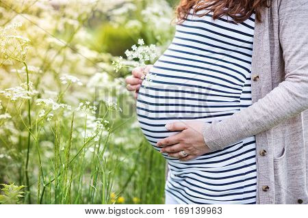 Unrecognizable pregnant woman wearing striped t-shirt holding her belly. Green sunny summer nature.