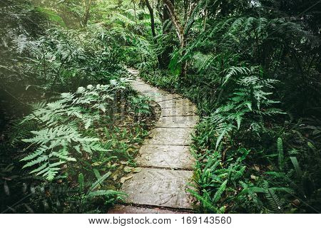 Siriphum walkway,Chiang Mai province,Thailand , vintage style