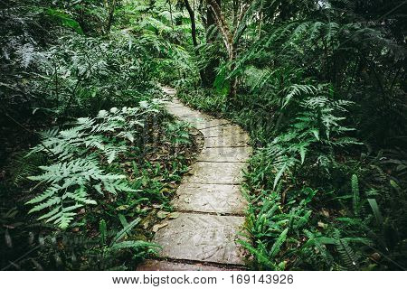 Siriphum walkway,Chiang Mai province,Thailand , vintage style