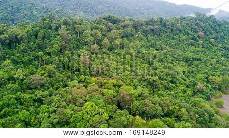 Aerial view of tropical rainforest in Koh Tarutao island, Thailand