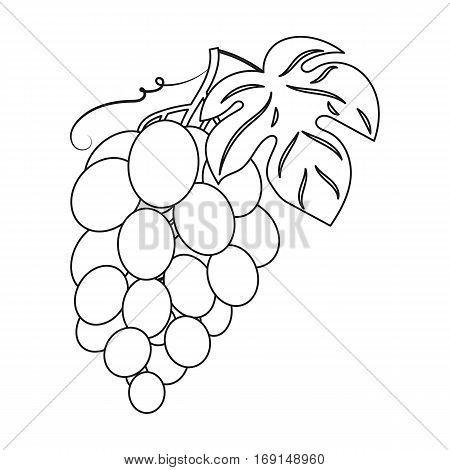 Bunch of grapes icon in outline design isolated on white background. Wine production symbol stock vector illustration.