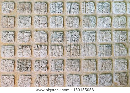Ancient city of Palenque sits like a king on a throne of jungle where plains meet mountains. The picture presents ancient Mayan hieroglyphs