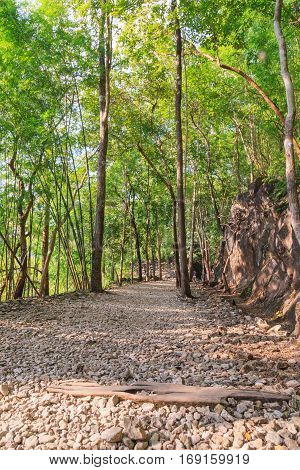 Hellfire pass Kanchanaburi Thailand dead railway construction since World War 2