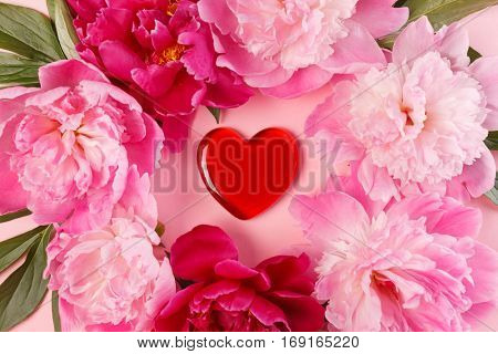 nice peonies