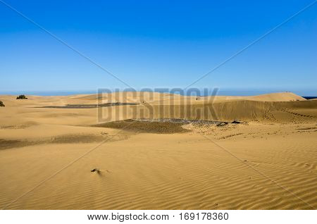 Maspalomas Dunes on the coast of Atlantic ocean on Gran Canaria Canary islands Spain