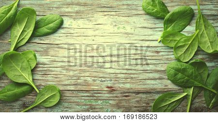 Fresh Baby spinach leaves on blue wooden background. Top view with copy space, horizontal frame, banner, toned. Healthy, Ecology concept