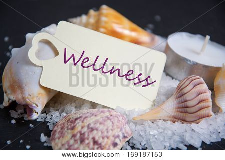 Shell with candle light and empty tag for wellness and relaxing concepts or massage advertising