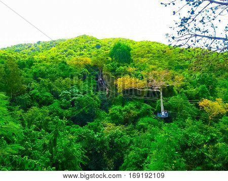 Woman going on a jungle zipline adventure at Antigua rainforest