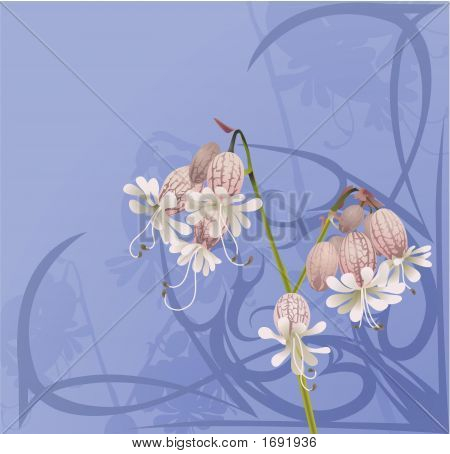 Bela flor fundo