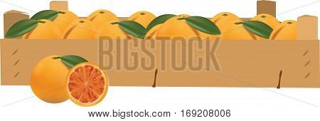 lood orange woobox full of bd lood orange woobox full of bd