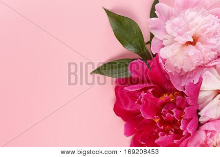 nice peonies
