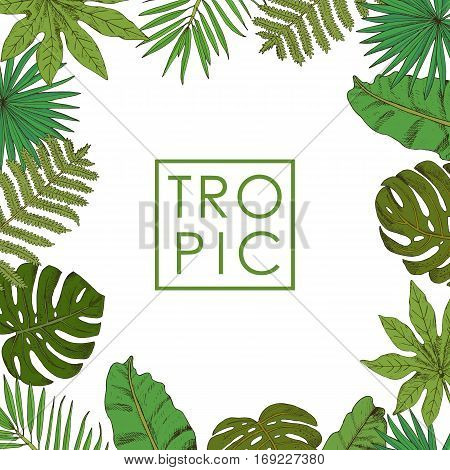 Floral frame with isolated palm leafs on white background hand drawn in sketch style. Design for invitation wedding or greeting cards and print. Vector illustration.