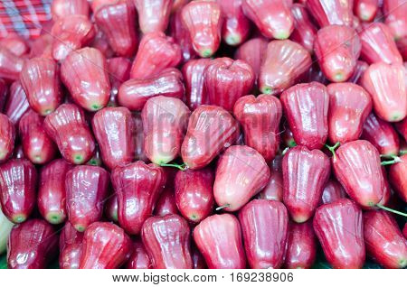 Rose apples or sell print market chomphu